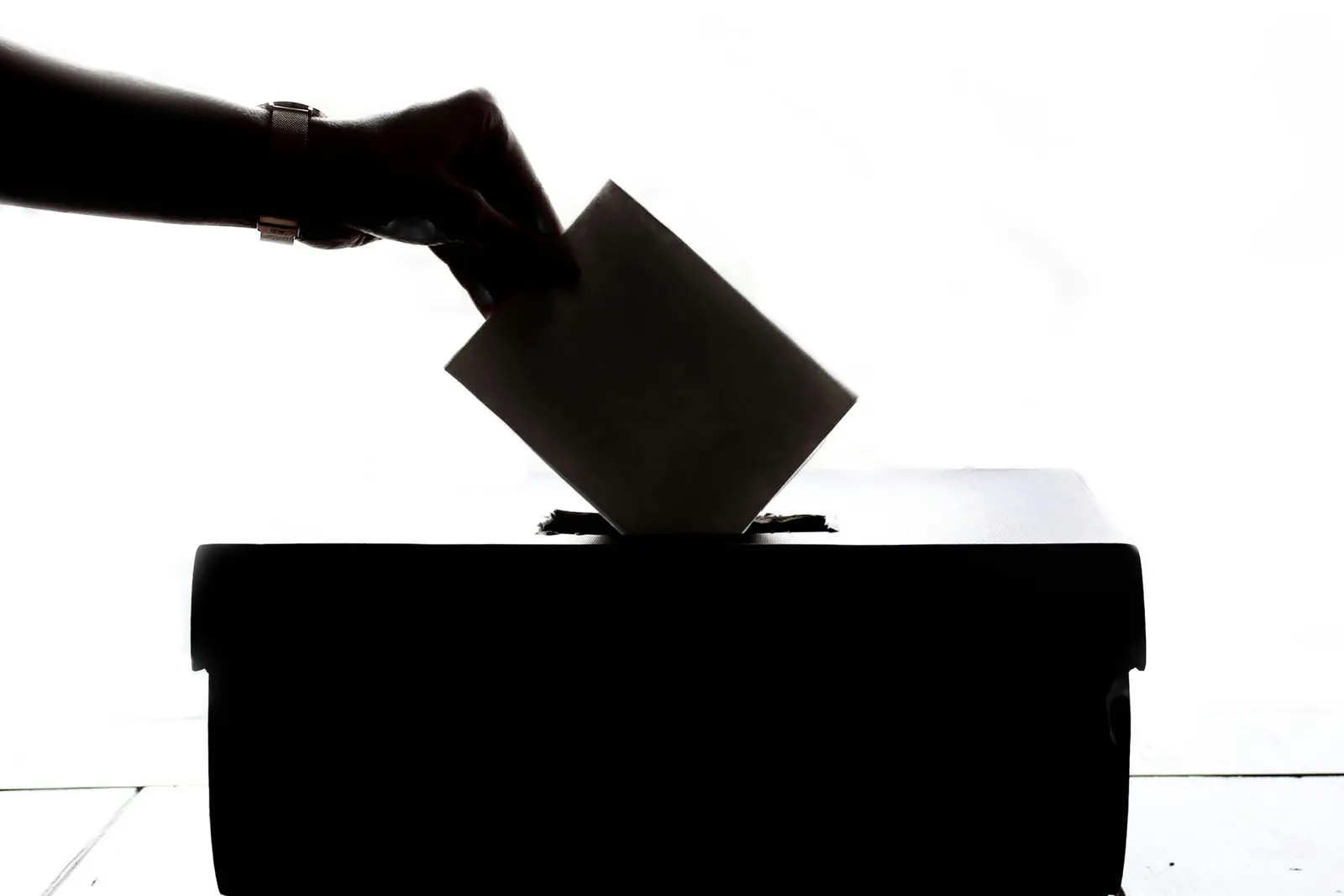 What is Political Campaign Management? Complete Guide